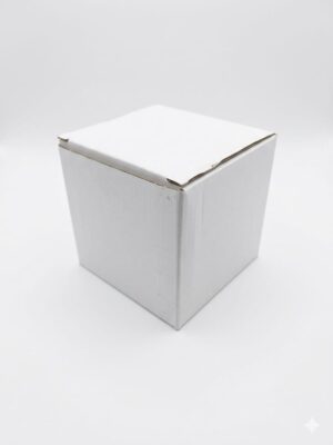 Caja Blanca 10x10x10 und