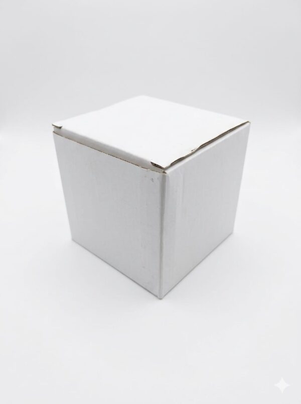 Caja Blanca 10x10x10 und